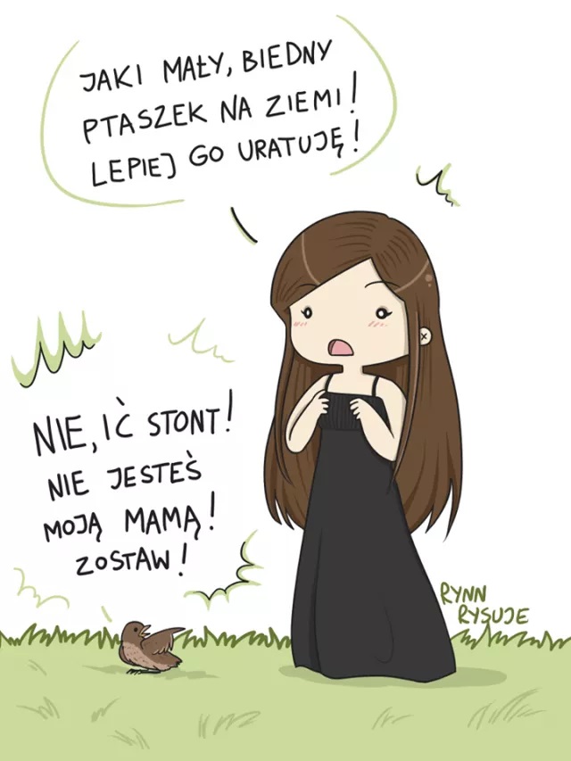 grafika edukacyjna