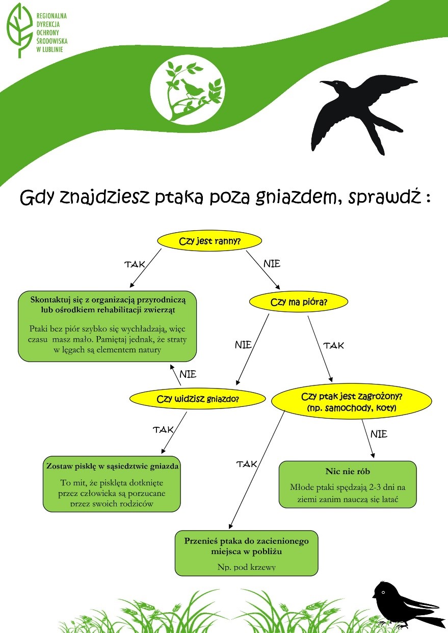 grafika edukacyjna