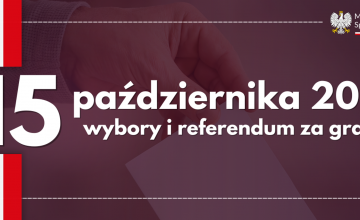 Wybory parlamentarne