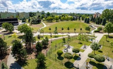 Światowy Dzień Drzewa