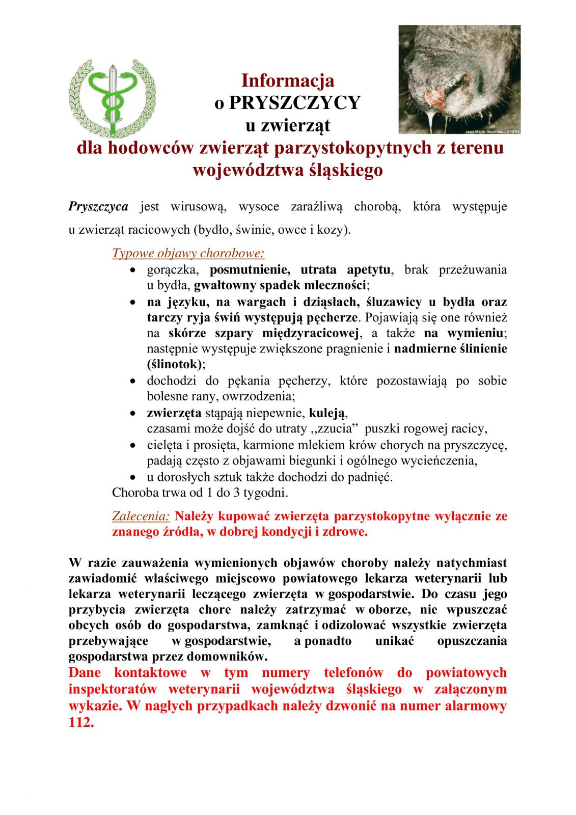 ulotka