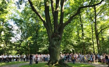 Kierunek GZM - „Szczygłowicka mozaika, czyli od Jorgusia do Jaskini”