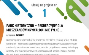 Budżet Obywatelski 2023 - projekty (1)