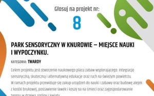 Budżet Obywatelski 2023 - projekty (8)