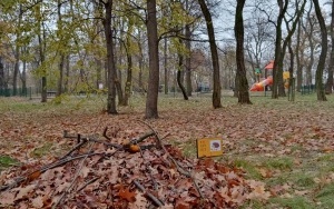 Domki dla jeży w Parku NOT (2)