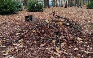 Domki dla jeży w Parku NOT (5)