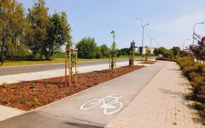 Ulica 26 Stycznia w Knurowie (3)