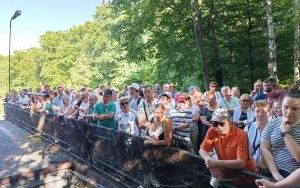 „Szczygłowicka mozaika, czyli od Jorgusia do Jaskini” (9)