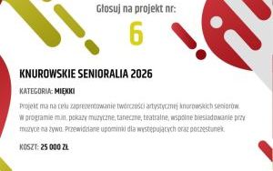 projekty w Budżecie Obywatelskim 2025 (6)