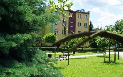 Zagospodarowanie terenu zielonego w rejonie ul. Dworcowej w Knurowie (7)