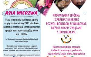 Pojemnik na nakrętki w Szczygłowicach (6)