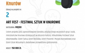 V edycja Budżetu Obywatelskiego w Knurowie (3)