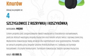 V edycja Budżetu Obywatelskiego w Knurowie (5)