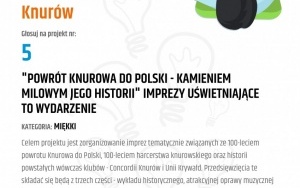 V edycja Budżetu Obywatelskiego w Knurowie (6)