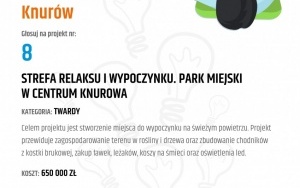 V edycja Budżetu Obywatelskiego w Knurowie (9)