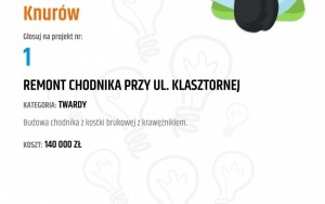 V edycja Budżetu Obywatelskiego w Knurowie (11)