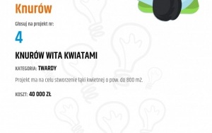 V edycja Budżetu Obywatelskiego w Knurowie (14)