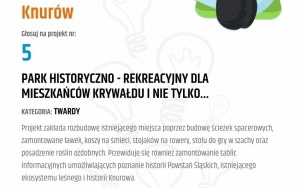 V edycja Budżetu Obywatelskiego w Knurowie (15)