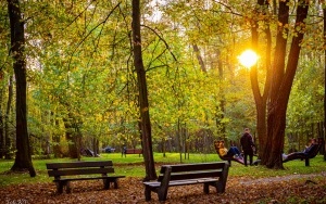 Budżet Obywatelski - Modernizacja parku NOT w Szczygłowicach (8)