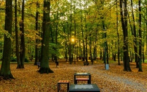 Budżet Obywatelski - Modernizacja parku NOT w Szczygłowicach (9)